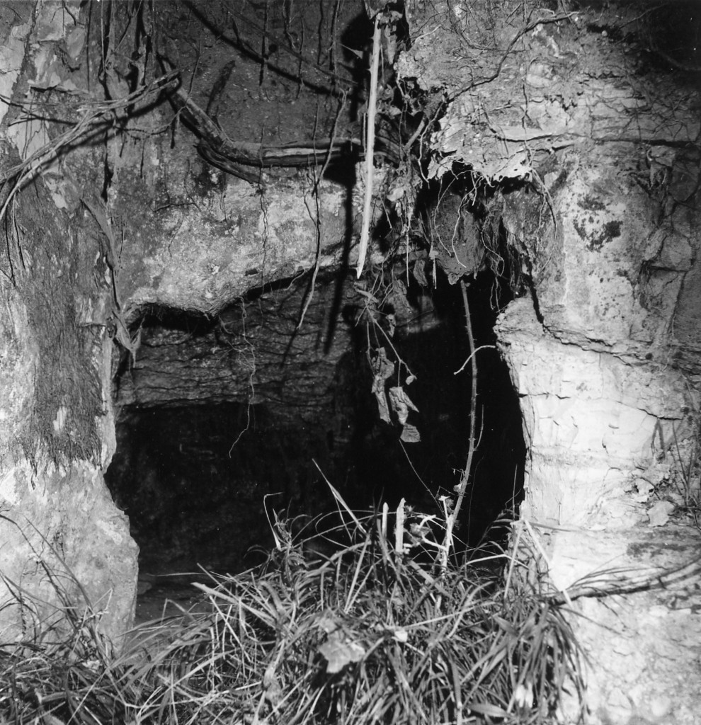 Cavone t.3 (tomba a camera) - Sorano (GR)  (III-I sec. a.C)