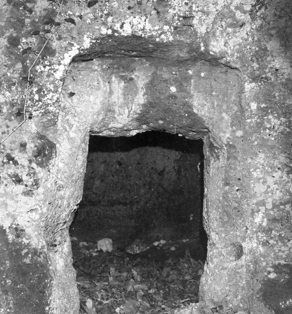 Folonia t.14 (tomba a camera) - Sorano (GR)  (VII-VI sec. a.C)