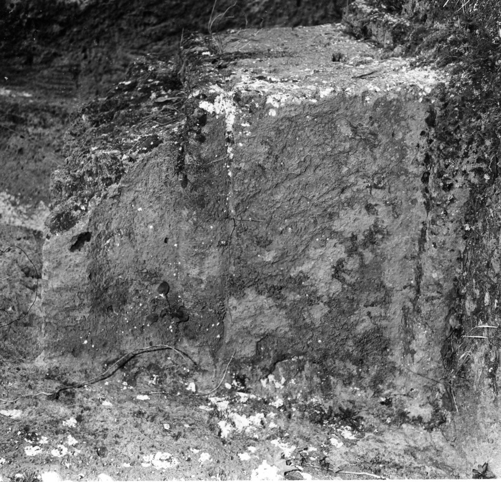 Sopraripa t.9 (tomba a 'semidado') - Sorano (GR)  (fine/ inizio III-II sec. a.C)