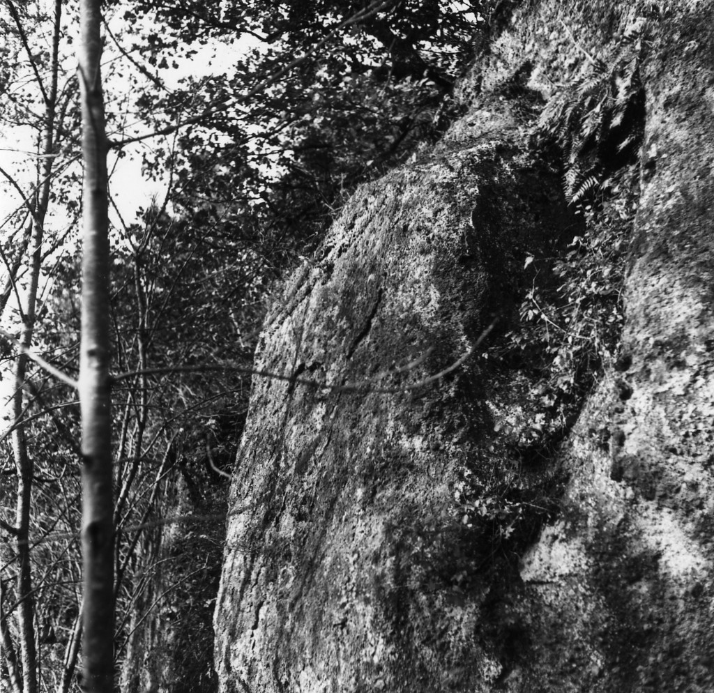 P. Felceto t.3 (tomba a 'semidado') - Sorano (GR)  (III-II sec. a.C)