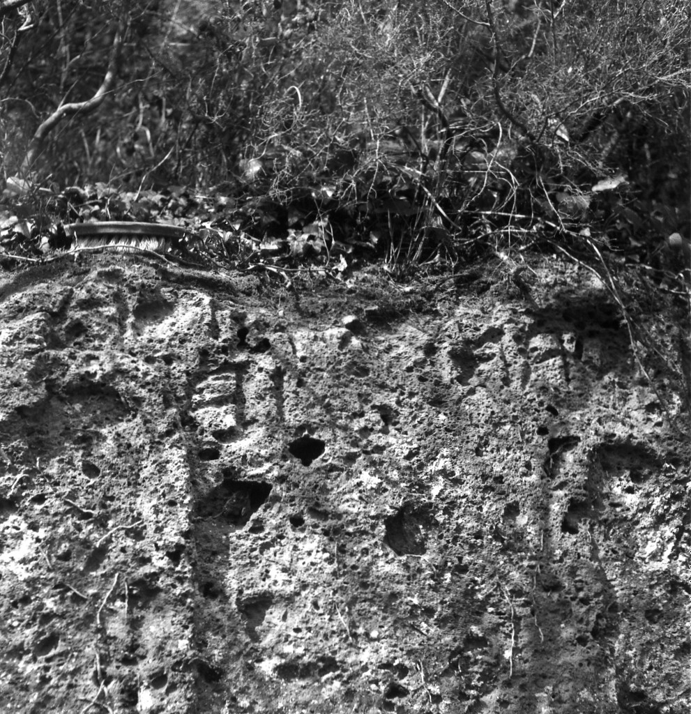 Tollena t.2 (tomba a 'semidado') - Sorano (GR)  (III-II sec. a.C)