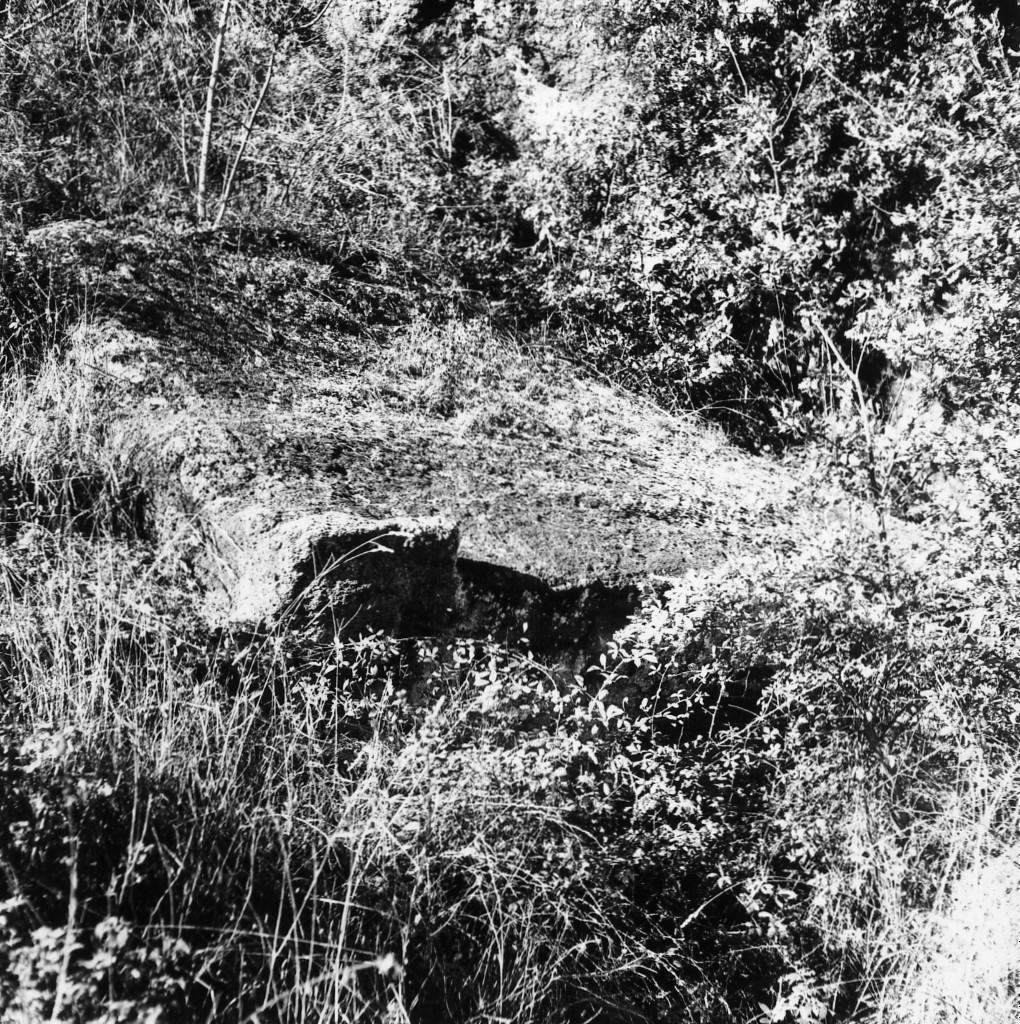 P. Grezzano t.4 (tomba a edicola) - Sorano (GR)  (III-II sec. a.C)