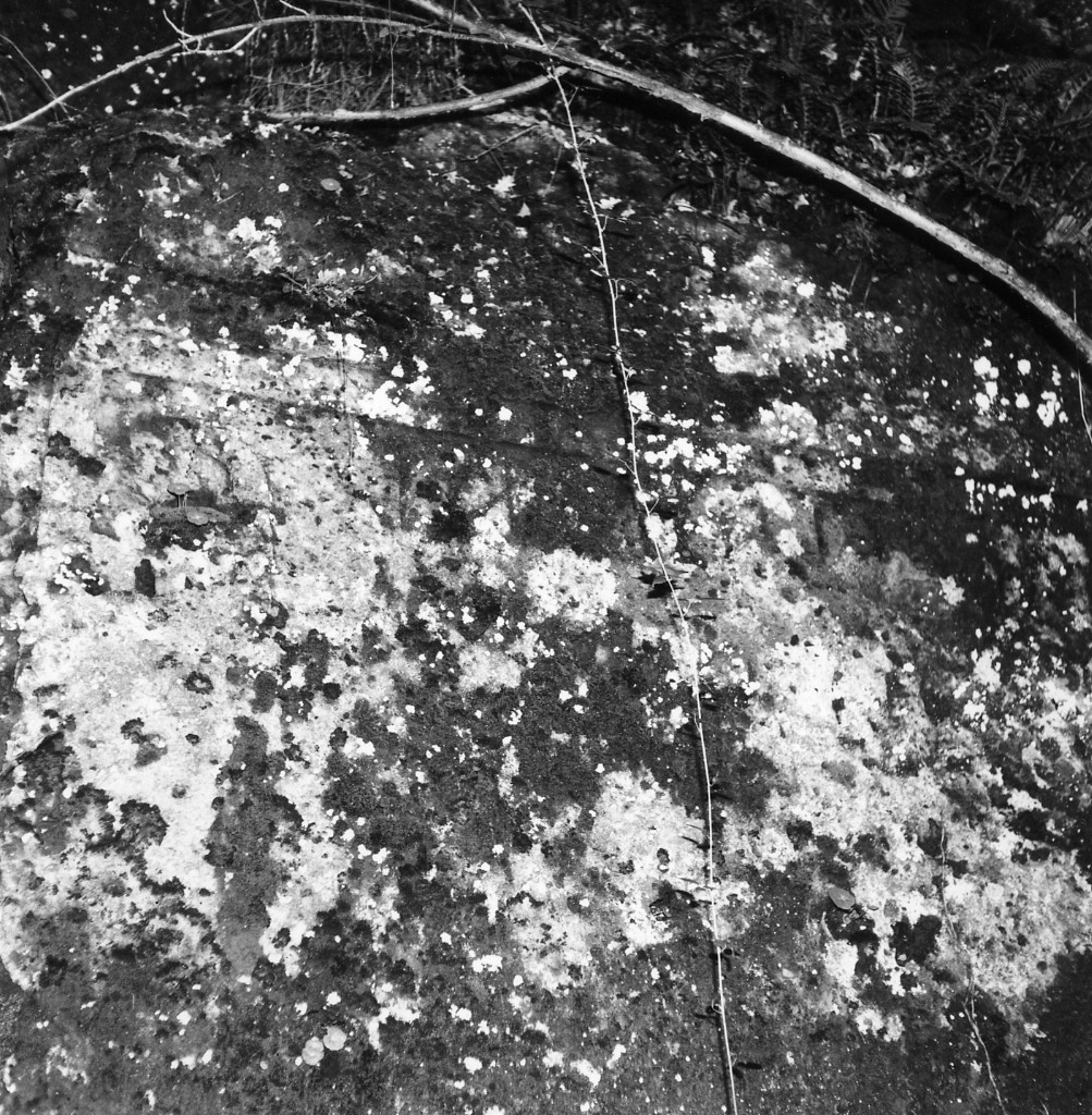 Melaiolo t.4 (tomba a 'semidado') - Sorano (GR)  (III-II sec. a.C)