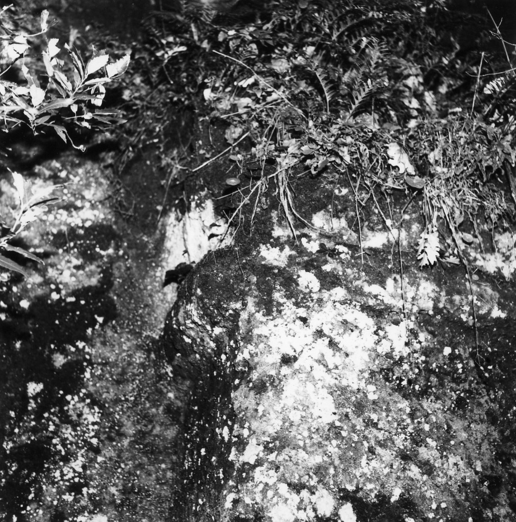 Melaiolo t.5 (tomba a 'semidado') - Sorano (GR)  (III-II sec. a.C)