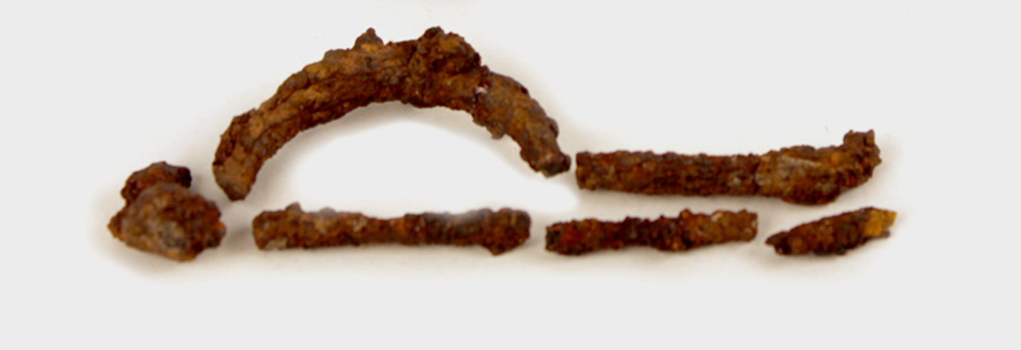 fibula (prima metà sec. VI a.C)