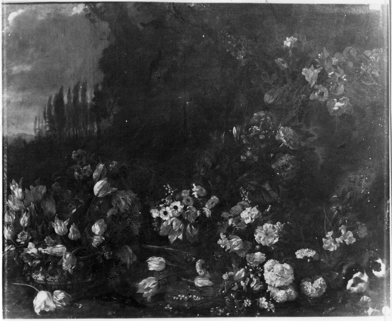 natura morta (dipinto) di Hermans Johannes detto Monsù Aurora (seconda metà sec. XVII)