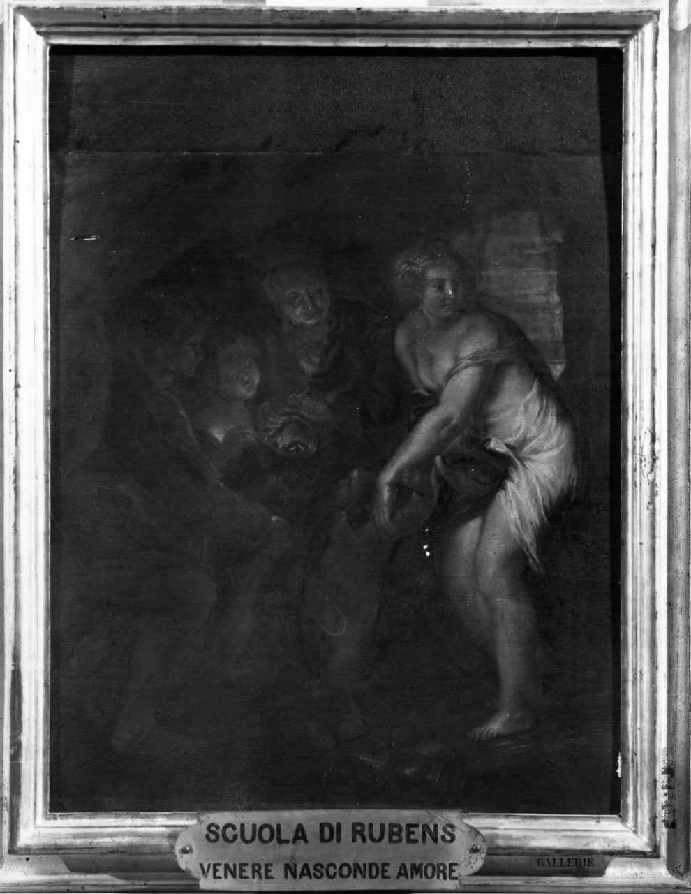 Venere nasconde Amore (dipinto) di Rubens Pieter Paul (scuola) (seconda metà sec. XVII)