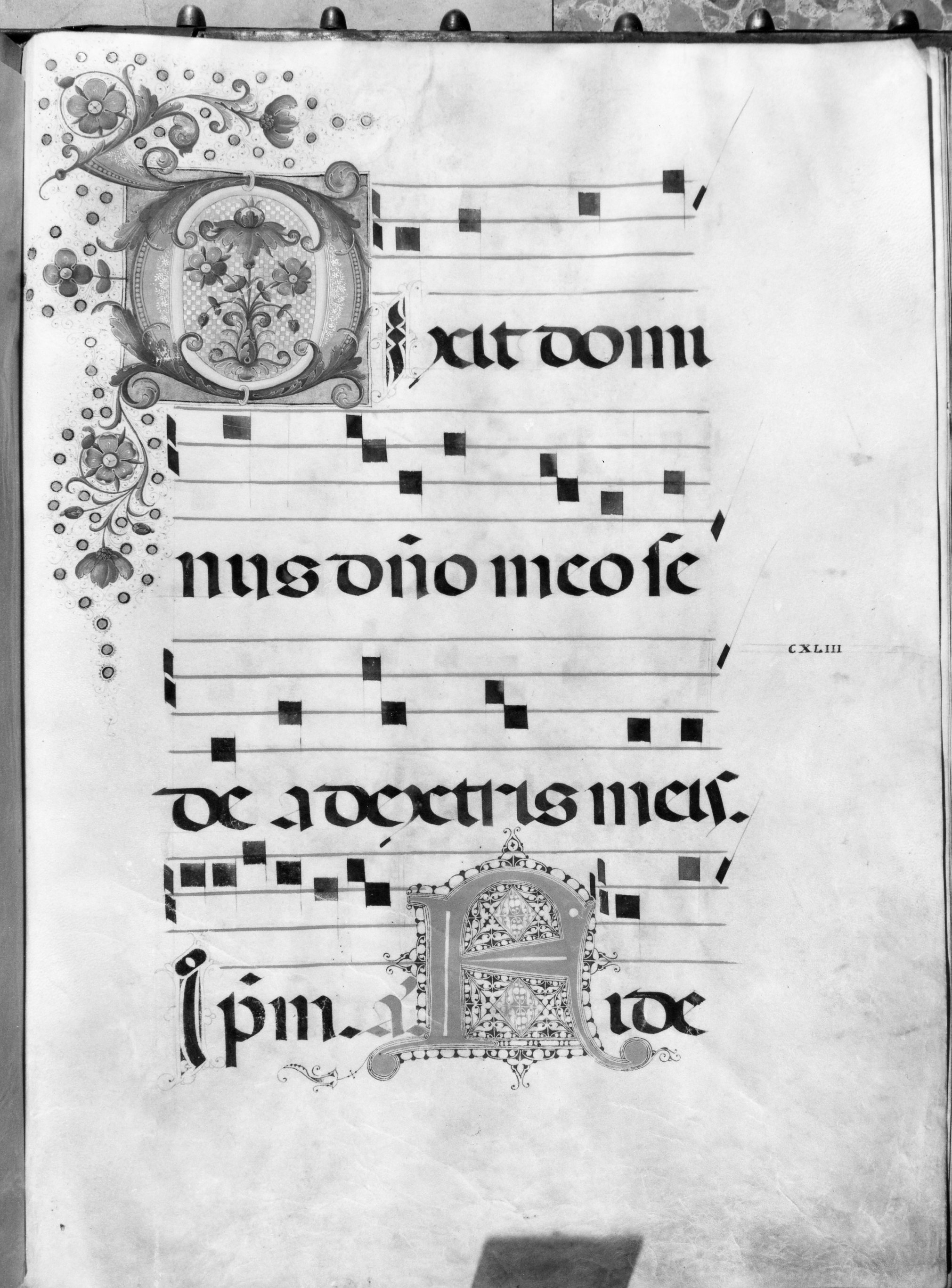 Lettera D (miniatura, serie) di Eustachio fra (primo quarto sec. XVI)