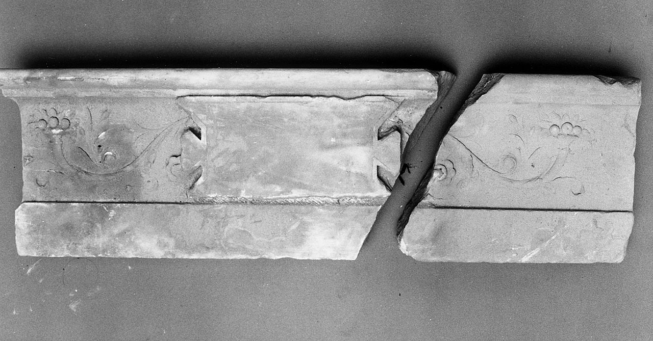 cornucopia (rilievo, frammento) - manifattura fiorentina (prima metà sec. XVI)