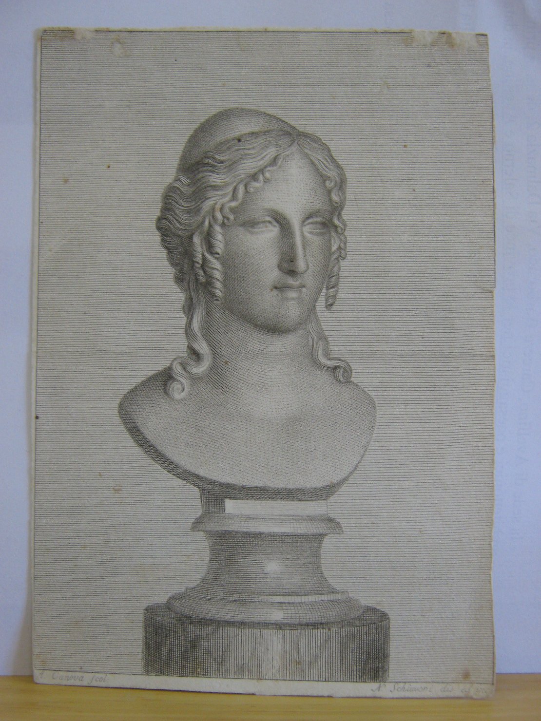 Testa di Elena, ritratto di donna (stampa, frammento) di Schiavoni Natale (prima metï¿½ sec. XIX)