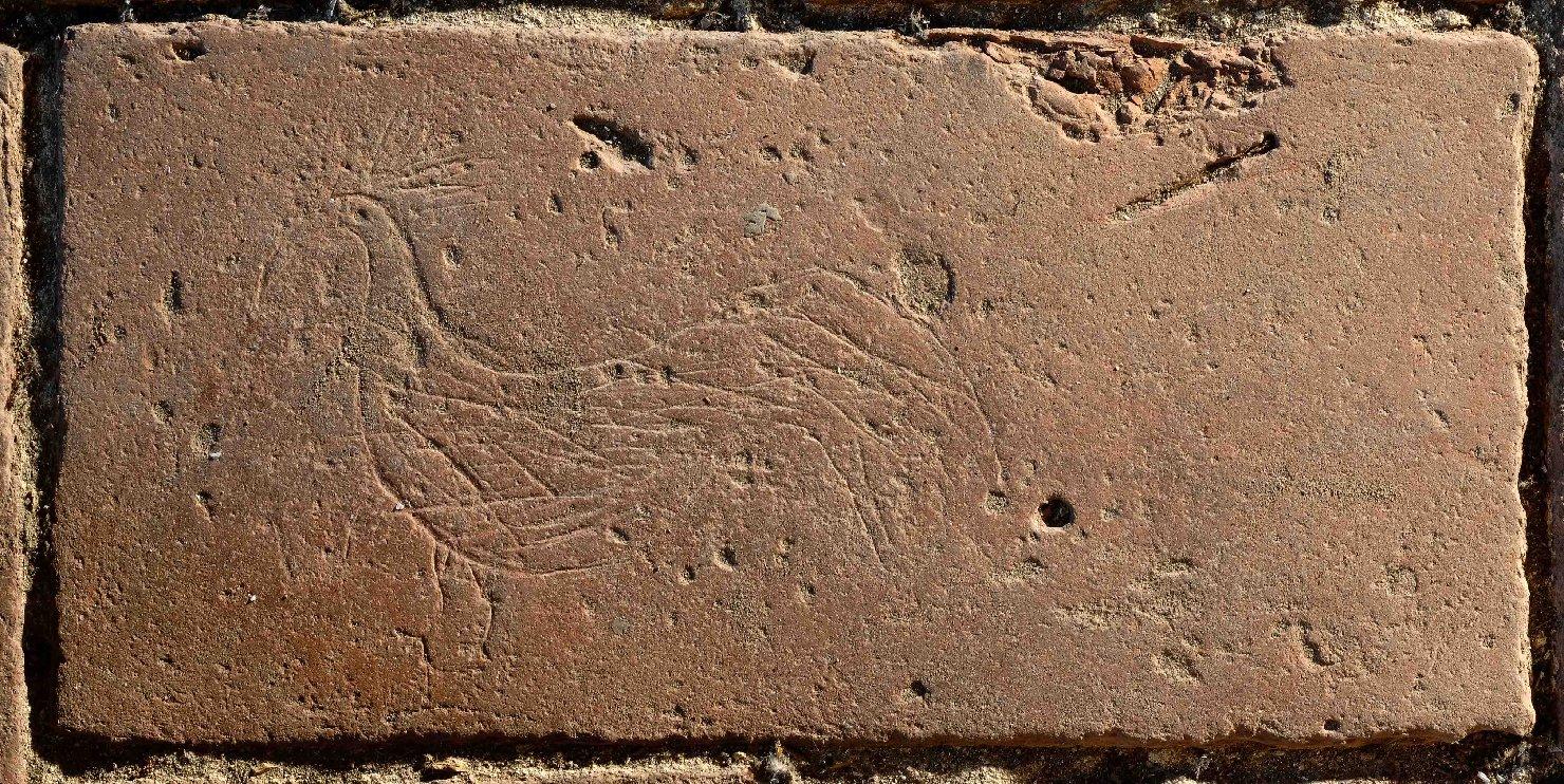 decorazione a graffito - ambito toscano (primo quarto sec. XX)