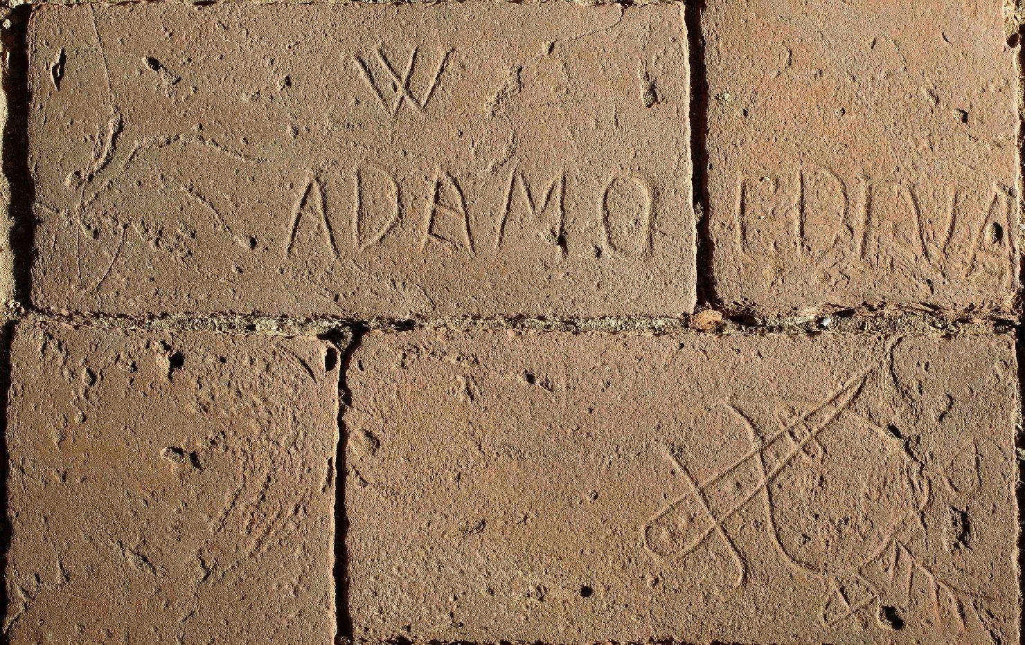 decorazione a graffito - ambito toscano (primo quarto sec. XX)