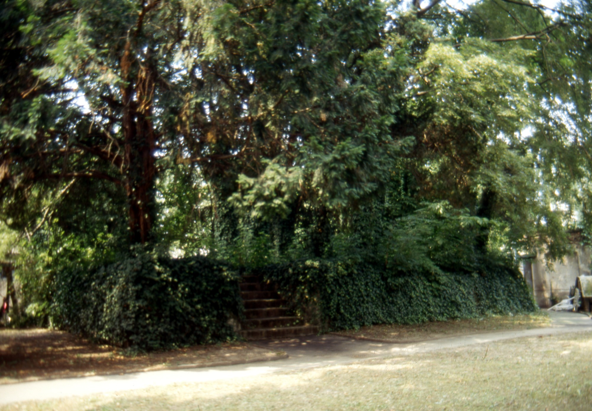 Di Palazzo Maldura (giardino, pubblico), Mussato - Padova (PD) 