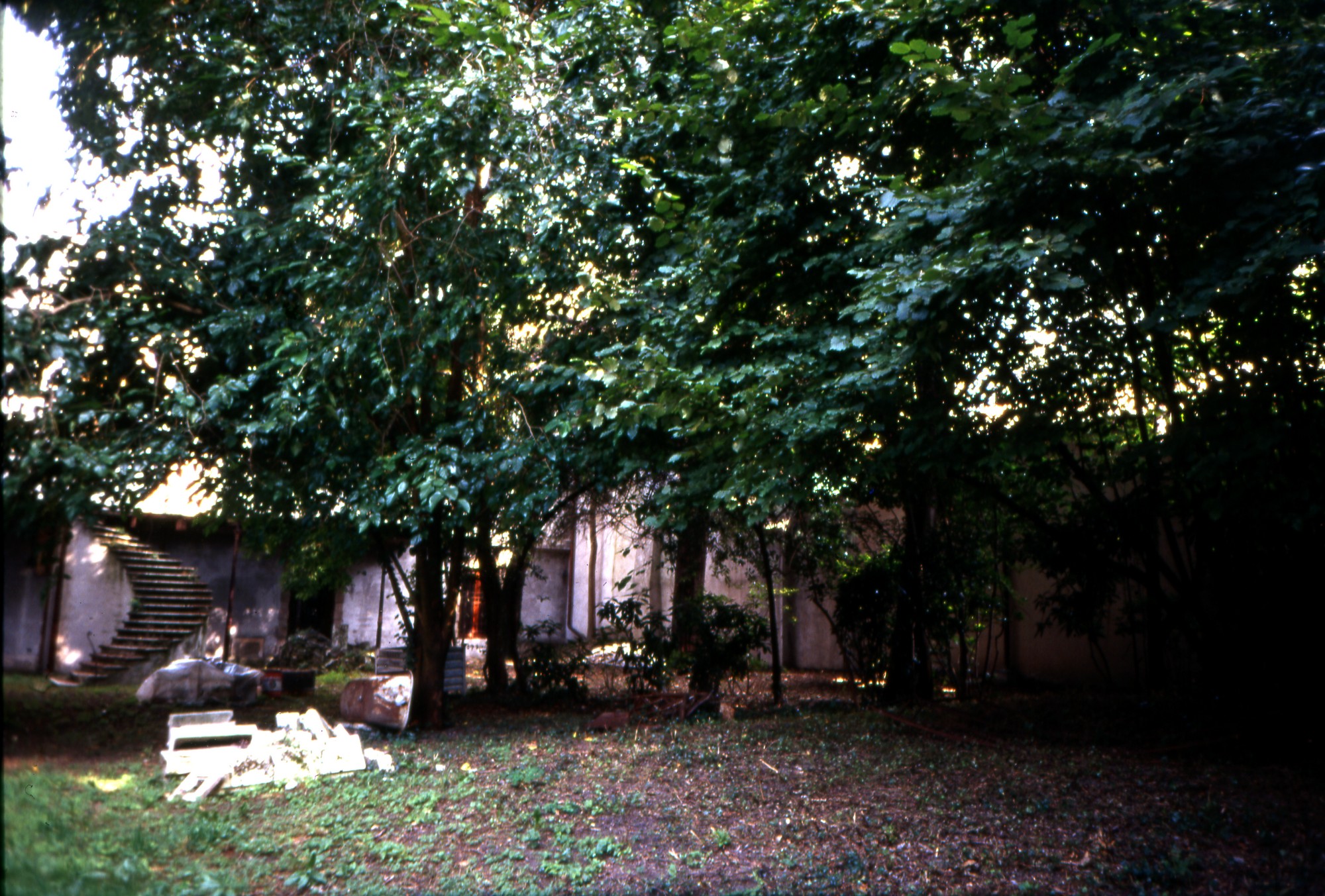 Papafava (giardino, privato) - Padova (PD) 
