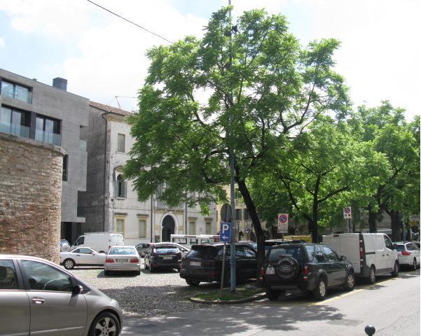 Palazzo Da Borso e sedime (palazzo, pubblico) - Treviso (TV) 