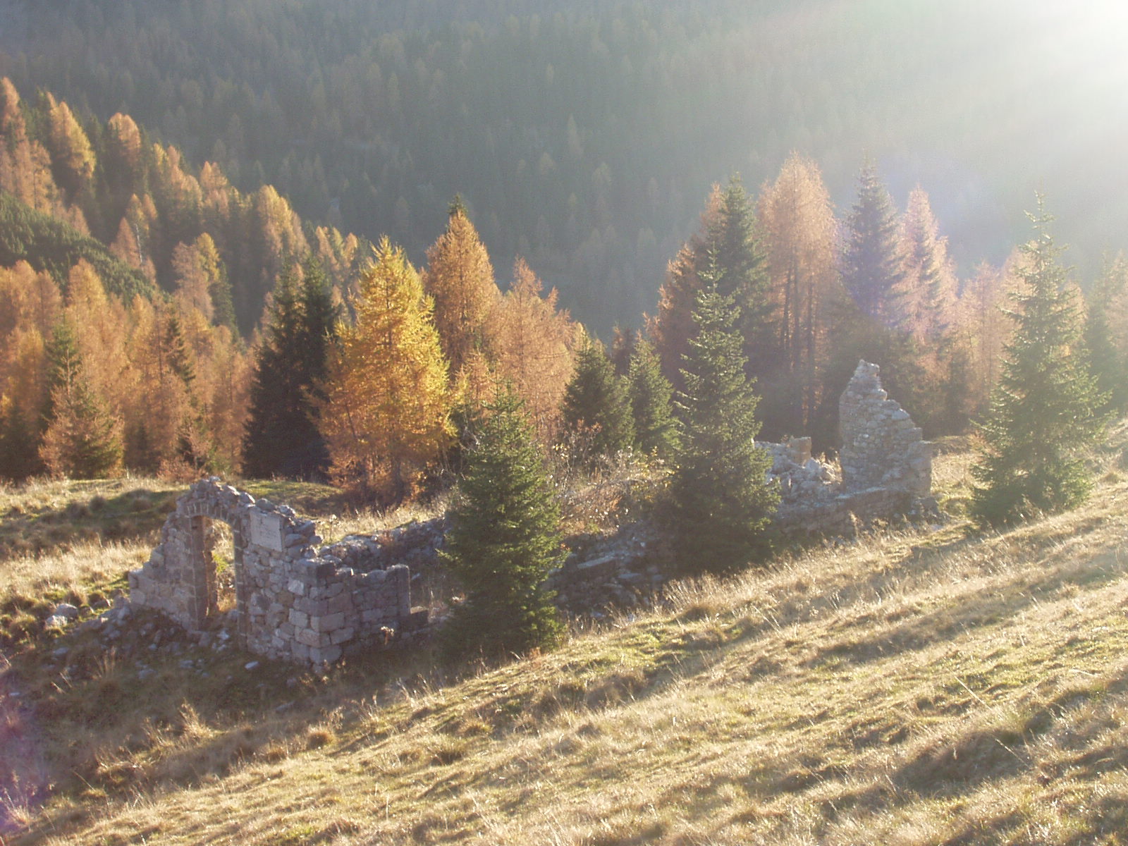 rudere ex militare di Forcella Losco (ex deposito militare) - Vigo di Cadore (BL) 