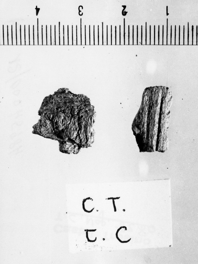 pettine/ frammento - deposizione longobarda (fine/ fine secc. VI d.C. - VII d.C)