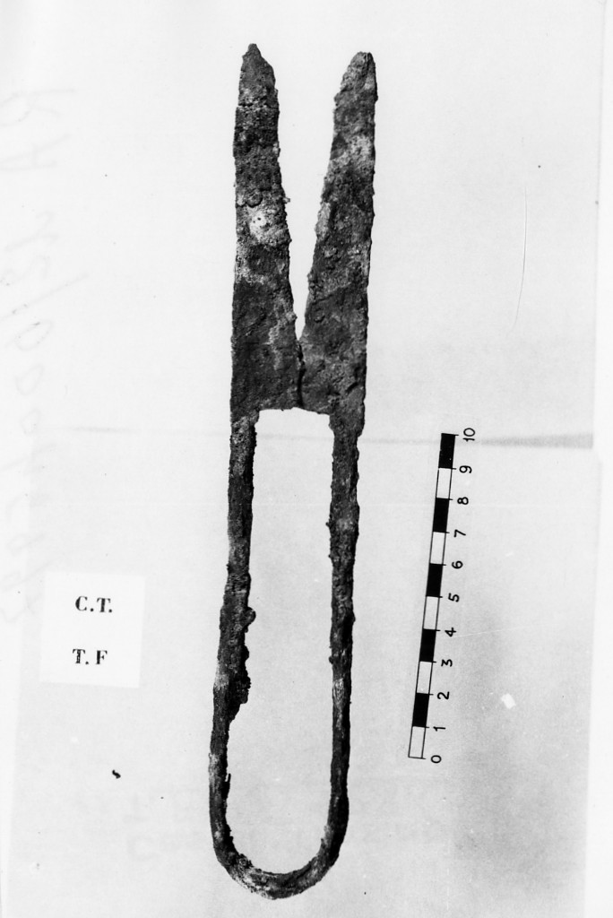 cesoie - deposizione longobarda (metà sec. VII d.C)