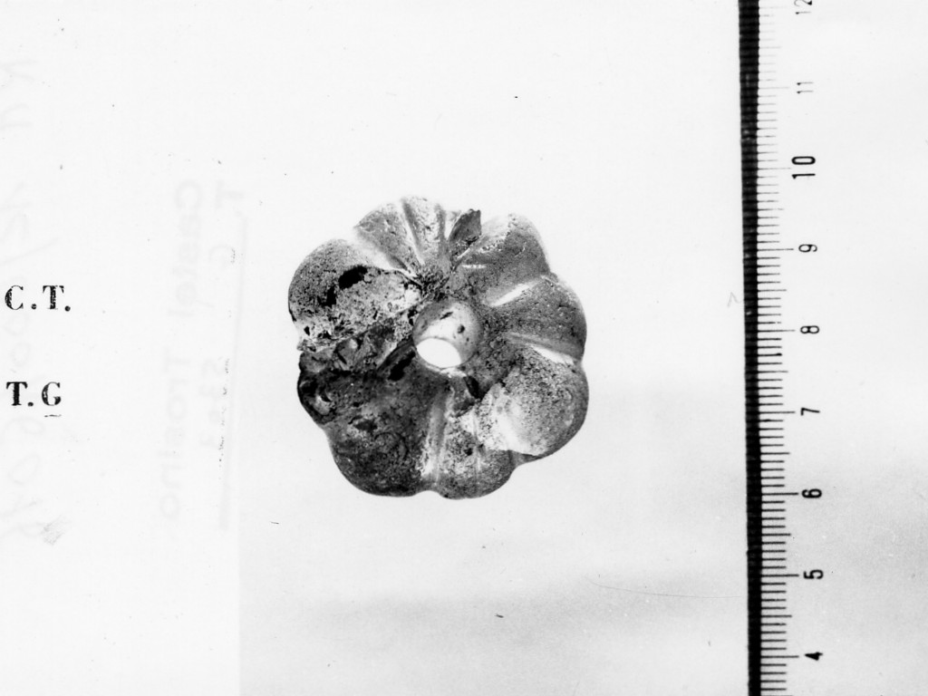 fuseruola - deposizione longobarda (prima metà sec. VII d.C)