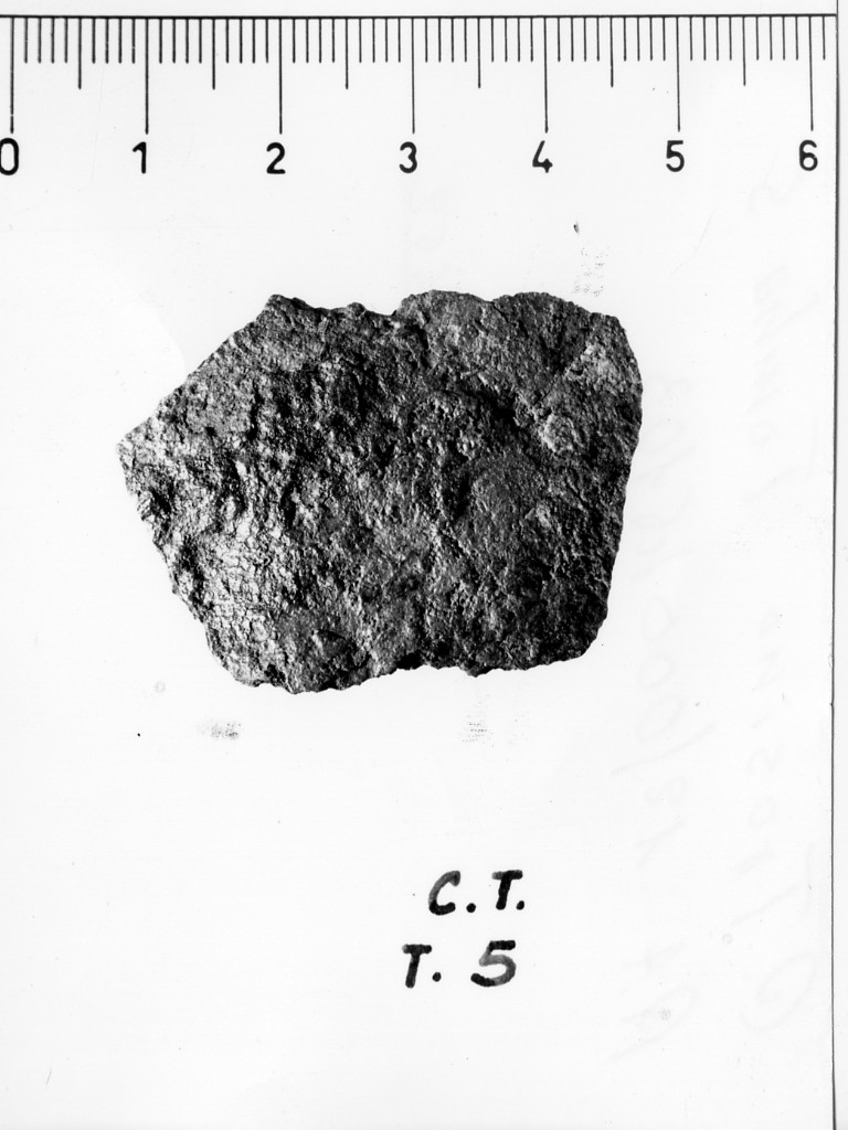 umbone/ frammento - deposizione longobarda (seconda metà sec. VII d.C)