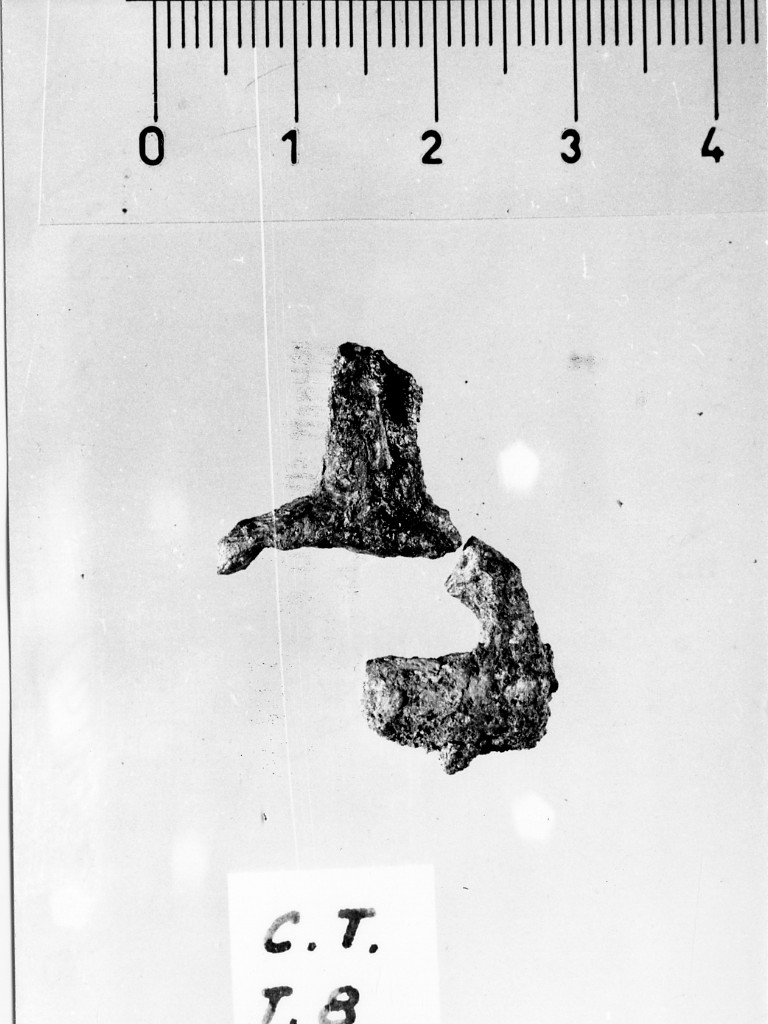 morso equino/ frammento - deposizione longobarda (seconda metà sec. VII d.C)