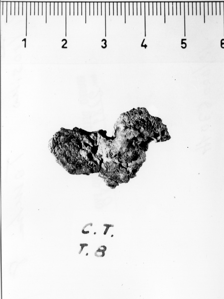 fibbia/ frammento - deposizione longobarda (seconda metà sec. VII d.C)