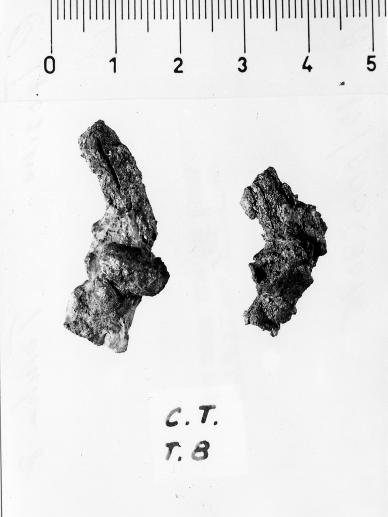 oggetto non id - deposizione longobarda (seconda metà sec. VII d.C)