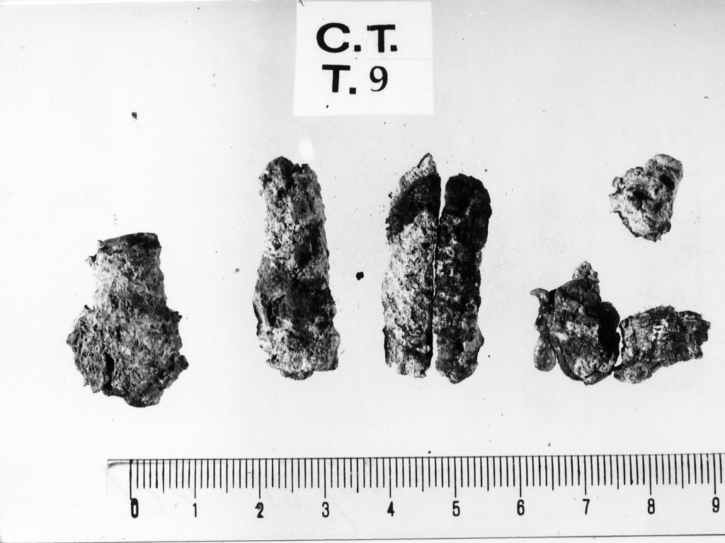 oggetto non id - deposizione longobarda (metà sec. VII d.C)