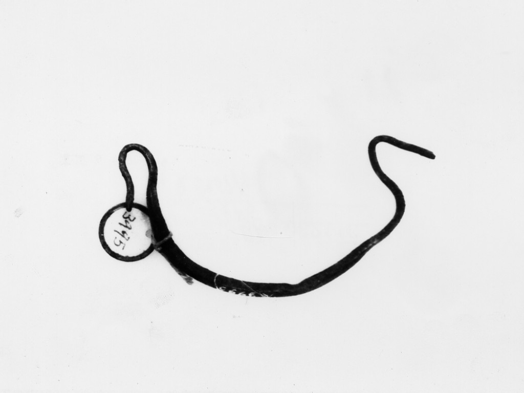 recipiente (non determinabile)