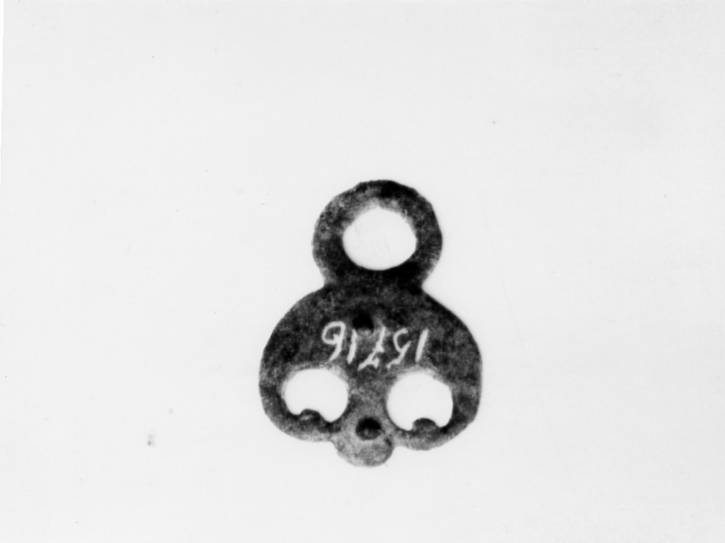 placchetta (non determinabile)