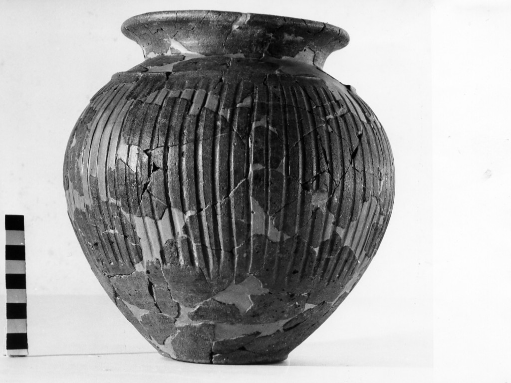 olla - periodo romano-laziale IV B (ultimo quarto non determinabile sec. VII a.C)