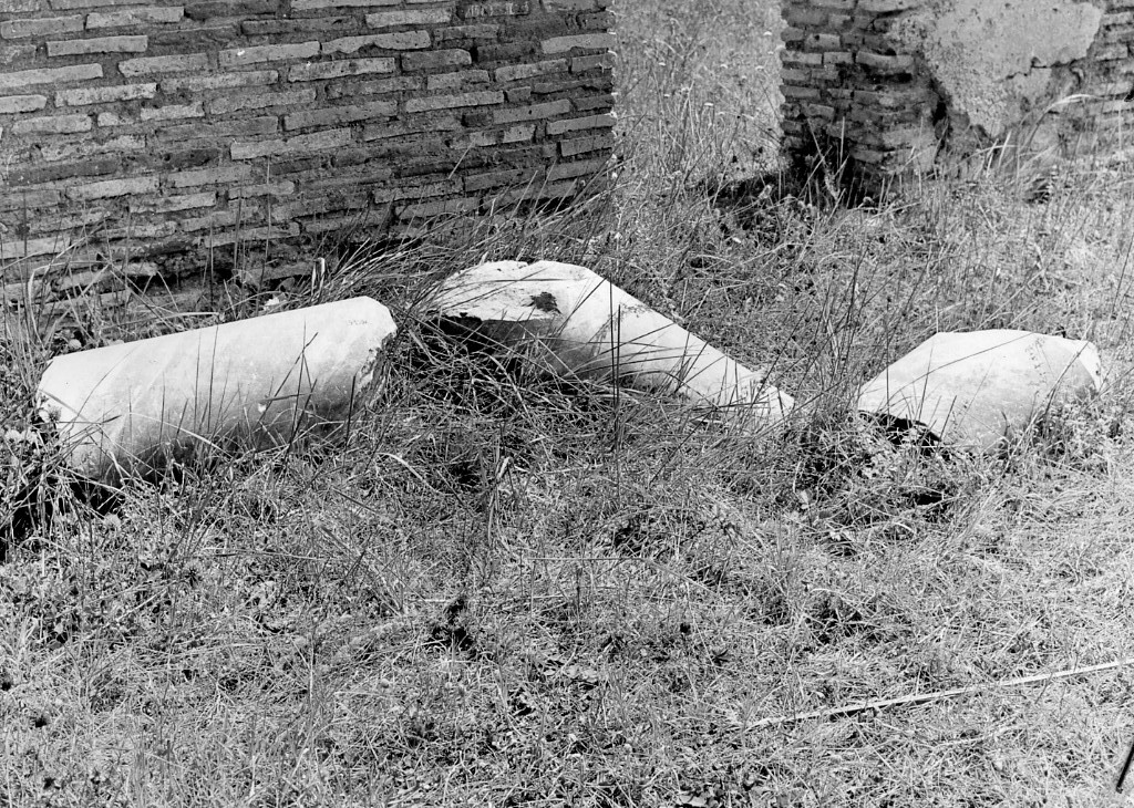 colonna (non determinabile)