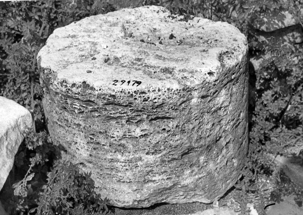 colonna (non determinabile)