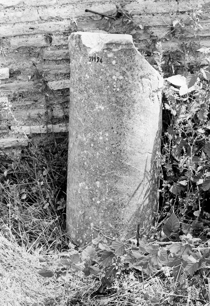 colonna (non determinabile)