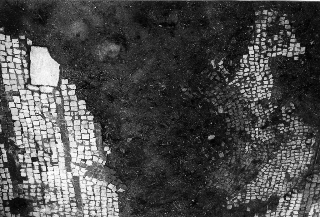 rivestimento pavimentale (sec. III d.C)