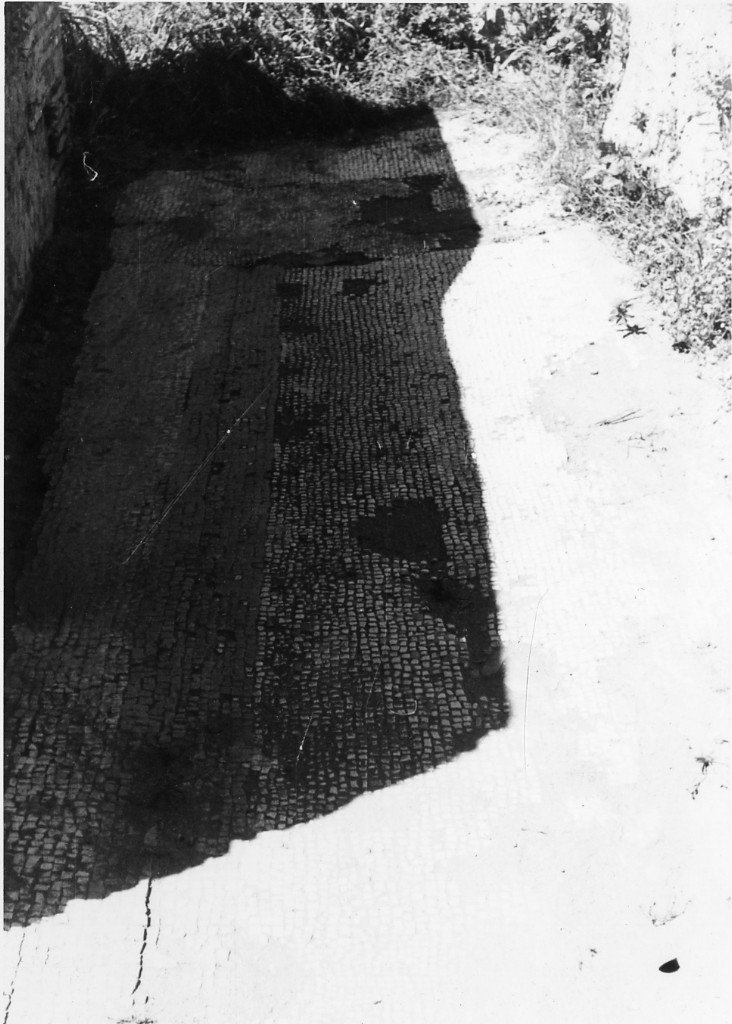 rivestimento pavimentale (sec. III d.C)