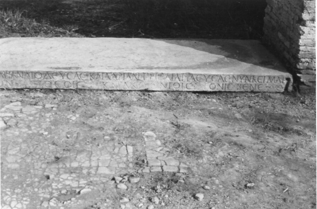 rivestimento pavimentale (secc. III d.C.-IV d.C)