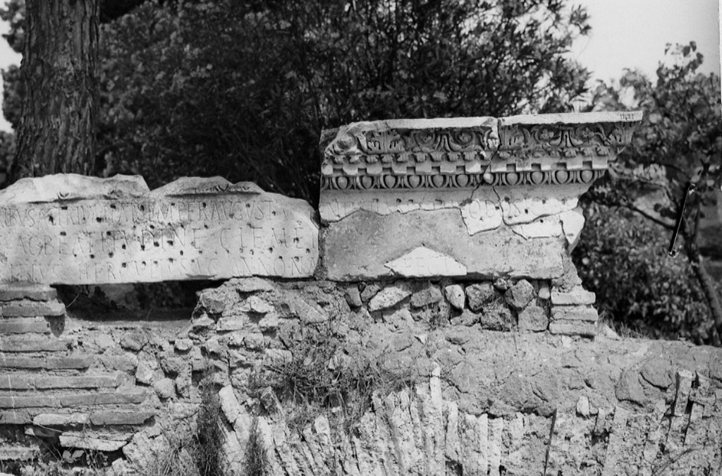 cornice (non determinabile)