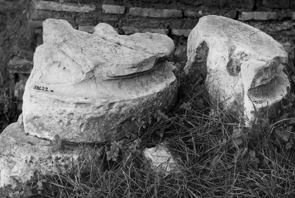 base di colonna (non determinabile)