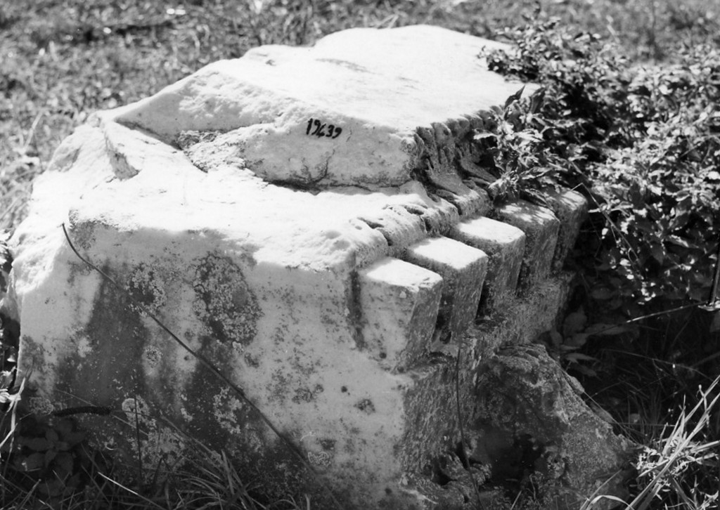 cornice (non determinabile)