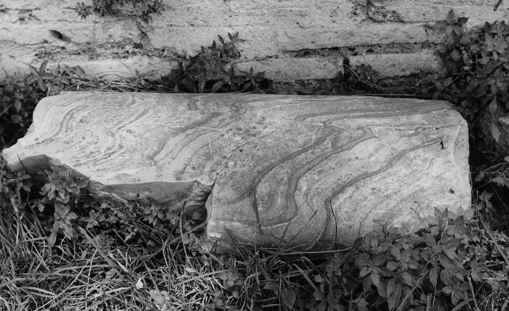 colonna (non determinabile)