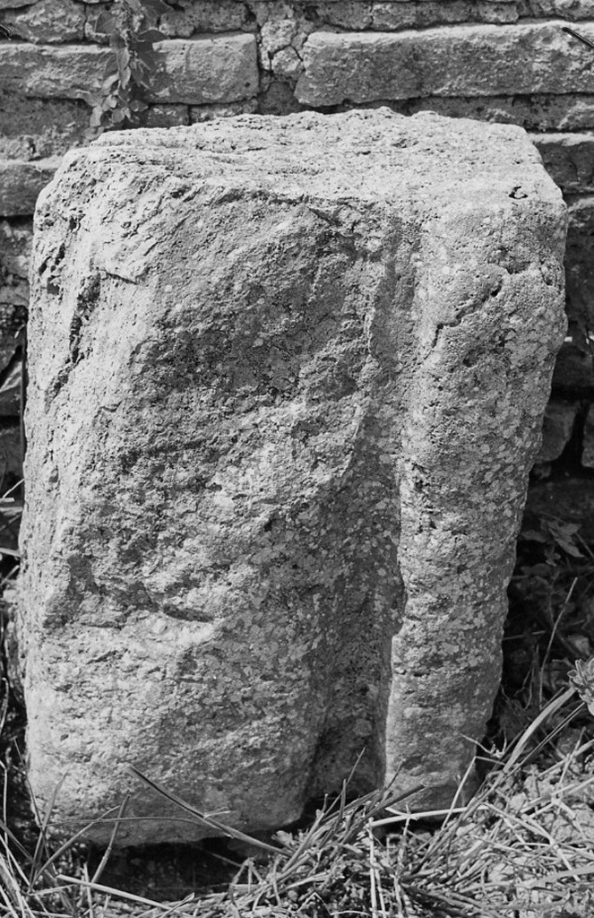 stipite (non determinabile)