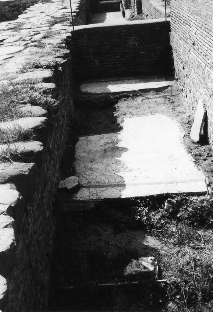 rivestimento pavimentale (sec. III)