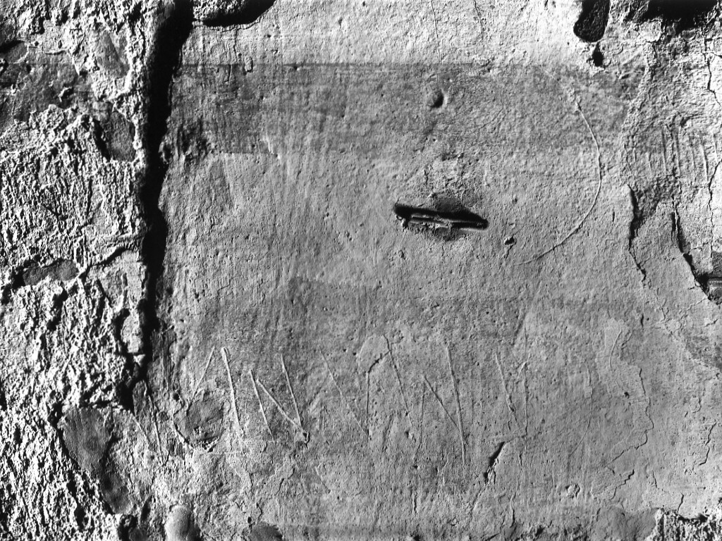 rivestimento parietale con graffito (fine/ inizio secc. II d.C.-III d.C)