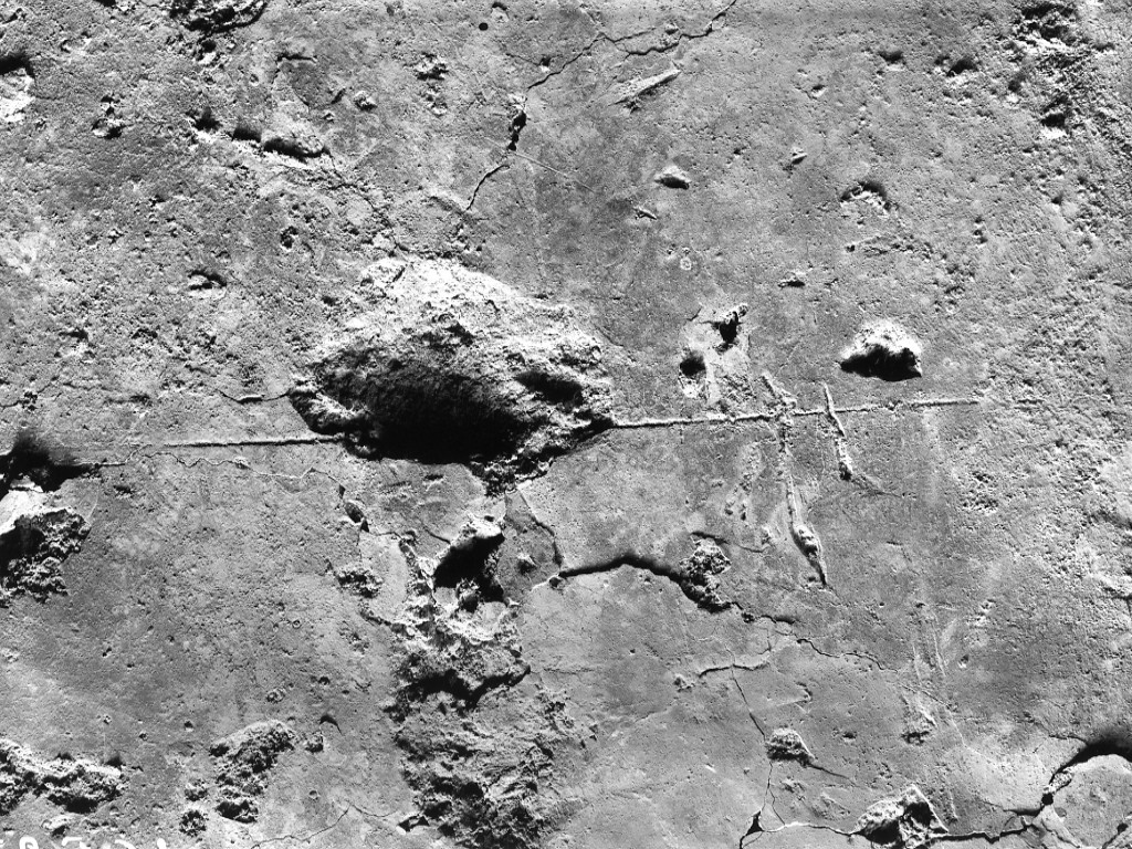 rivestimento parietale con graffito (secc. II d.C.-III d.C)