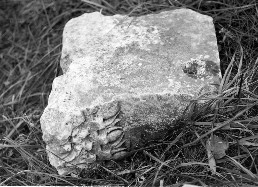 cornice (non determinabile)