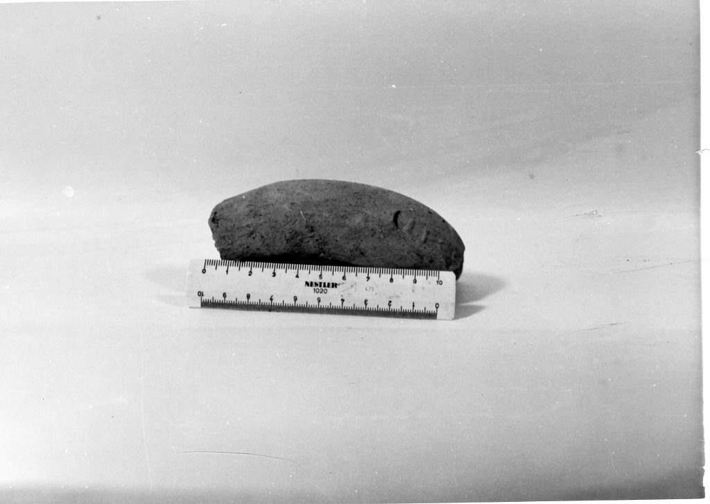 lucerna (non determinabile)