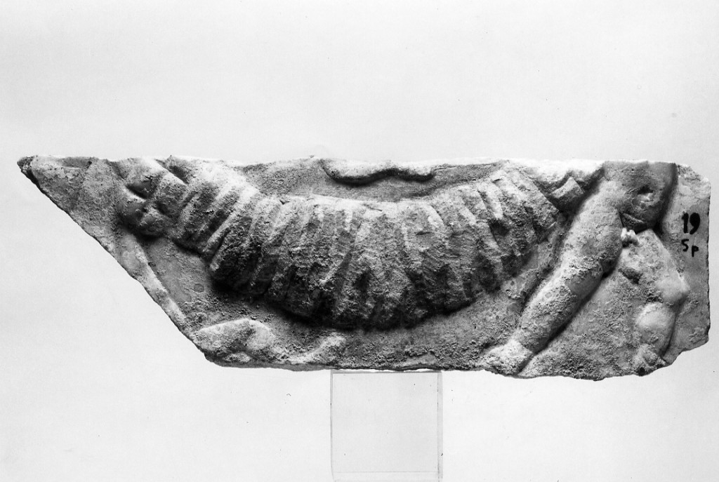 sarcofago (non determinabile)