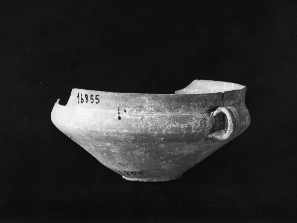 coppa (metà sec. I d.C)