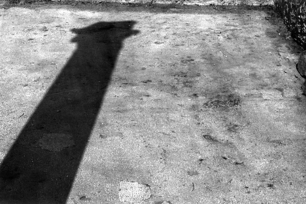 rivestimento pavimentale (sec. III d.C)